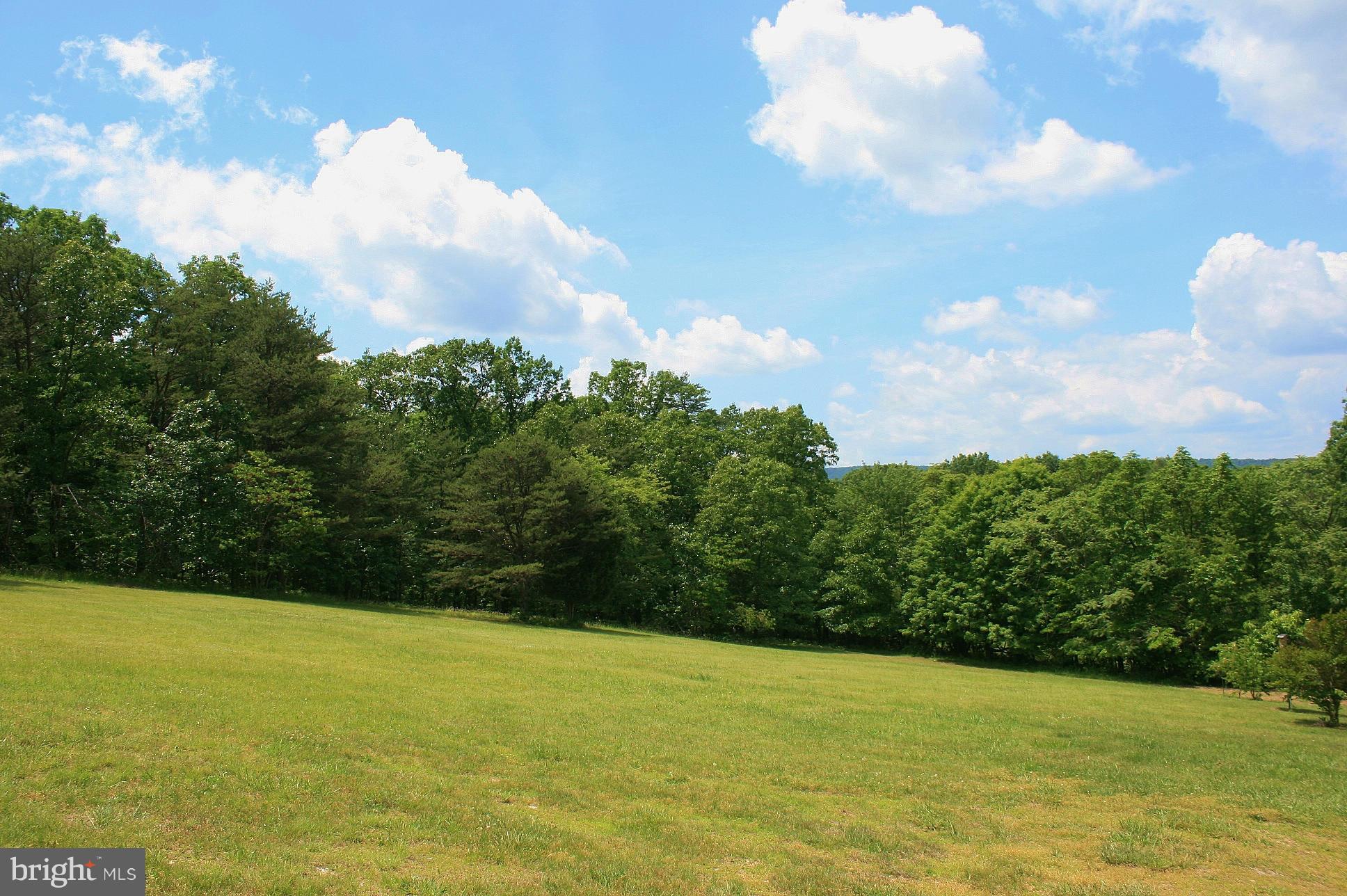 Johnson Mill Berkeley Springs, WV 25411 - Photo 5 of 14 1.5 ACRES - OPEN, SLIGHTLY SLOPED