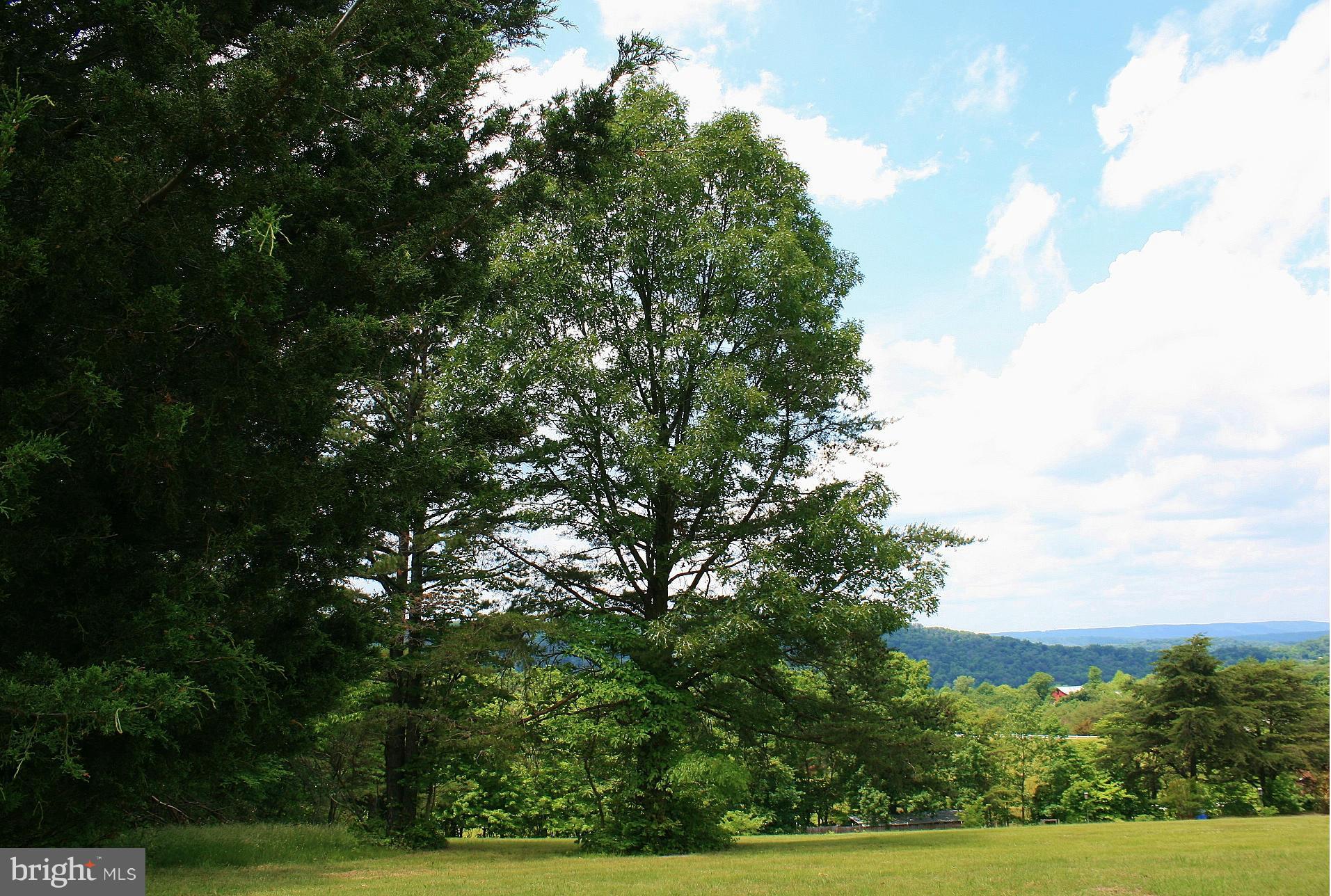 Johnson Mill Berkeley Springs, WV 25411 - Photo 7 of 14 SIT BACK AND ENJOY THE ENDLESS MOUNTAIN VIEWS