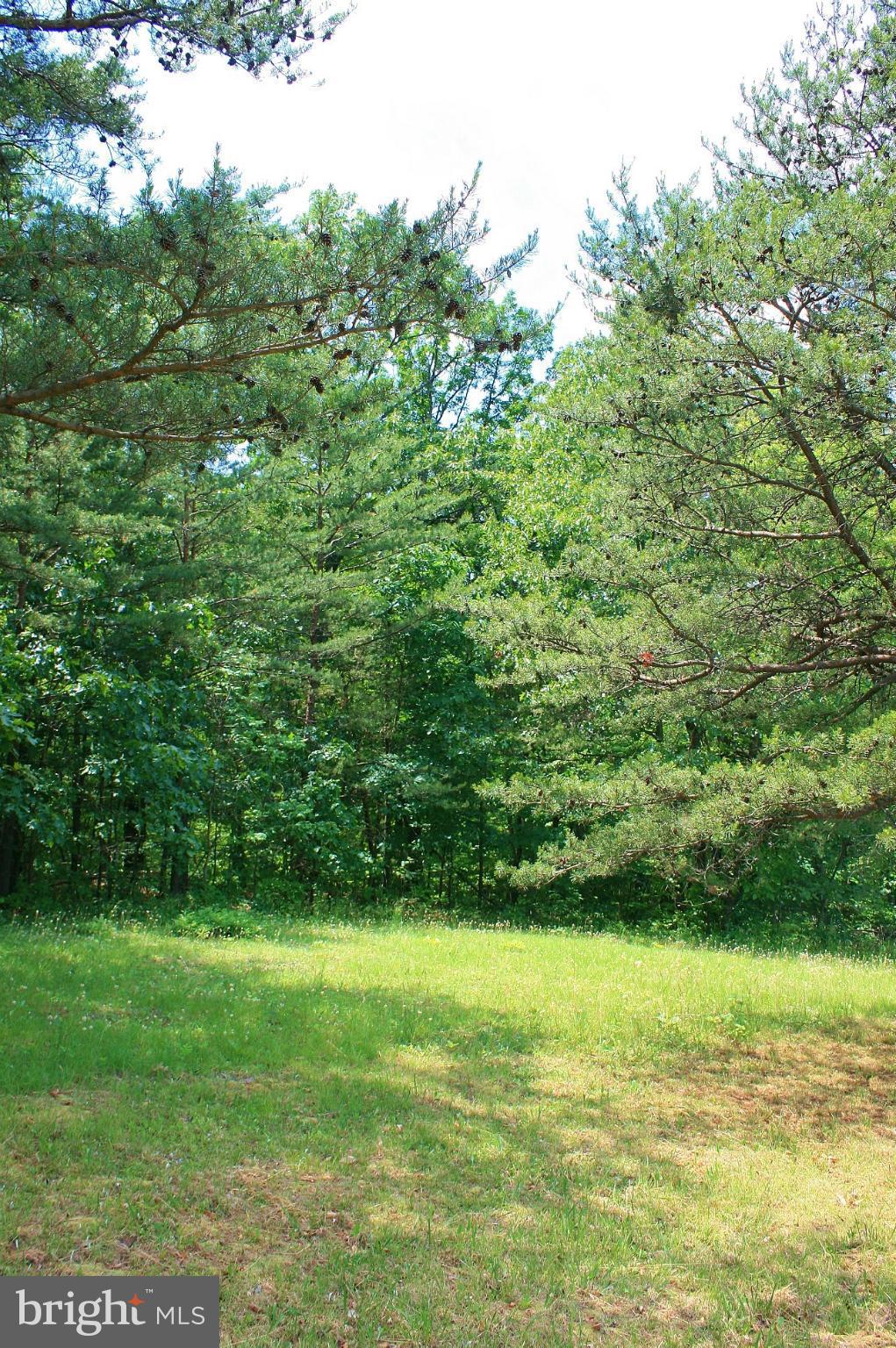 Johnson Mill Berkeley Springs, WV 25411 - Photo 8 of 14 PROPERTY BACKS TO THE TREES