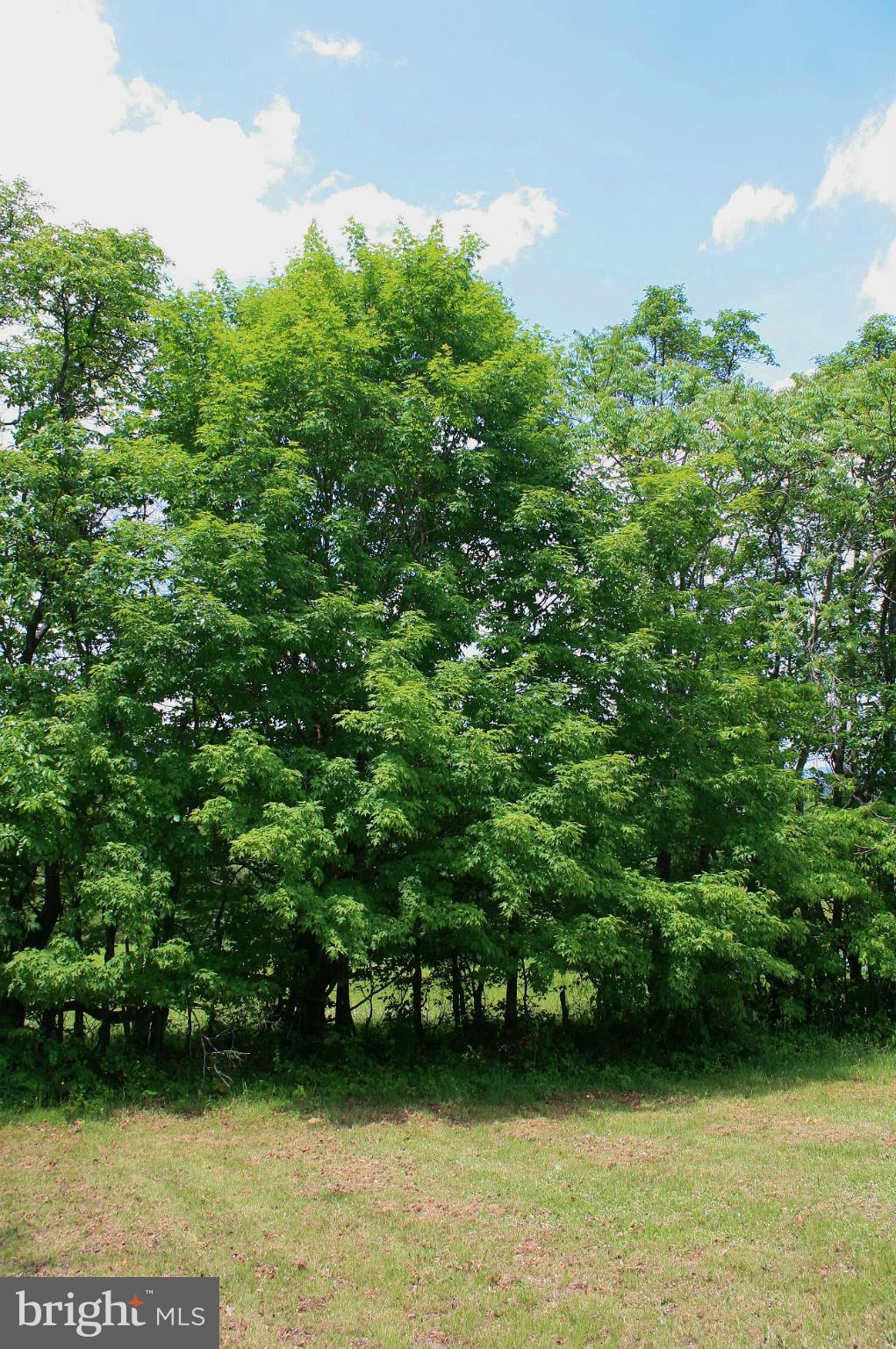Johnson Mill Berkeley Springs, WV 25411 - Photo 9 of 14 GREAT PLACE TO BUILD YOUR NEW HOME