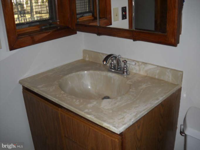 106 Birch Run Road Chestertown, MD 21620 - Photo 25 of 25 a close view of sink and tap