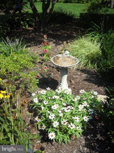 106 Birch Run Road Chestertown, MD 21620 - Photo 6 of 25 a couple of table and chairs in a garden