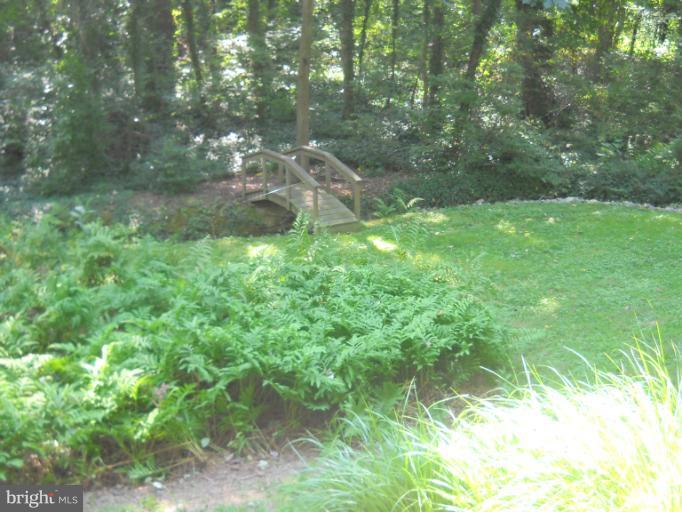 106 Birch Run Road Chestertown, MD 21620 - Photo 7 of 25 a backyard of a house with lots of green space and mountain view