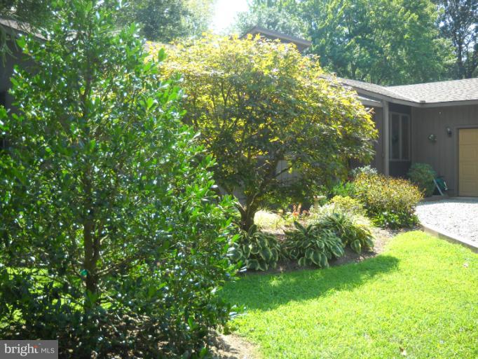 106 Birch Run Road Chestertown, MD 21620 - Photo 8 of 25 a view of yard with green space