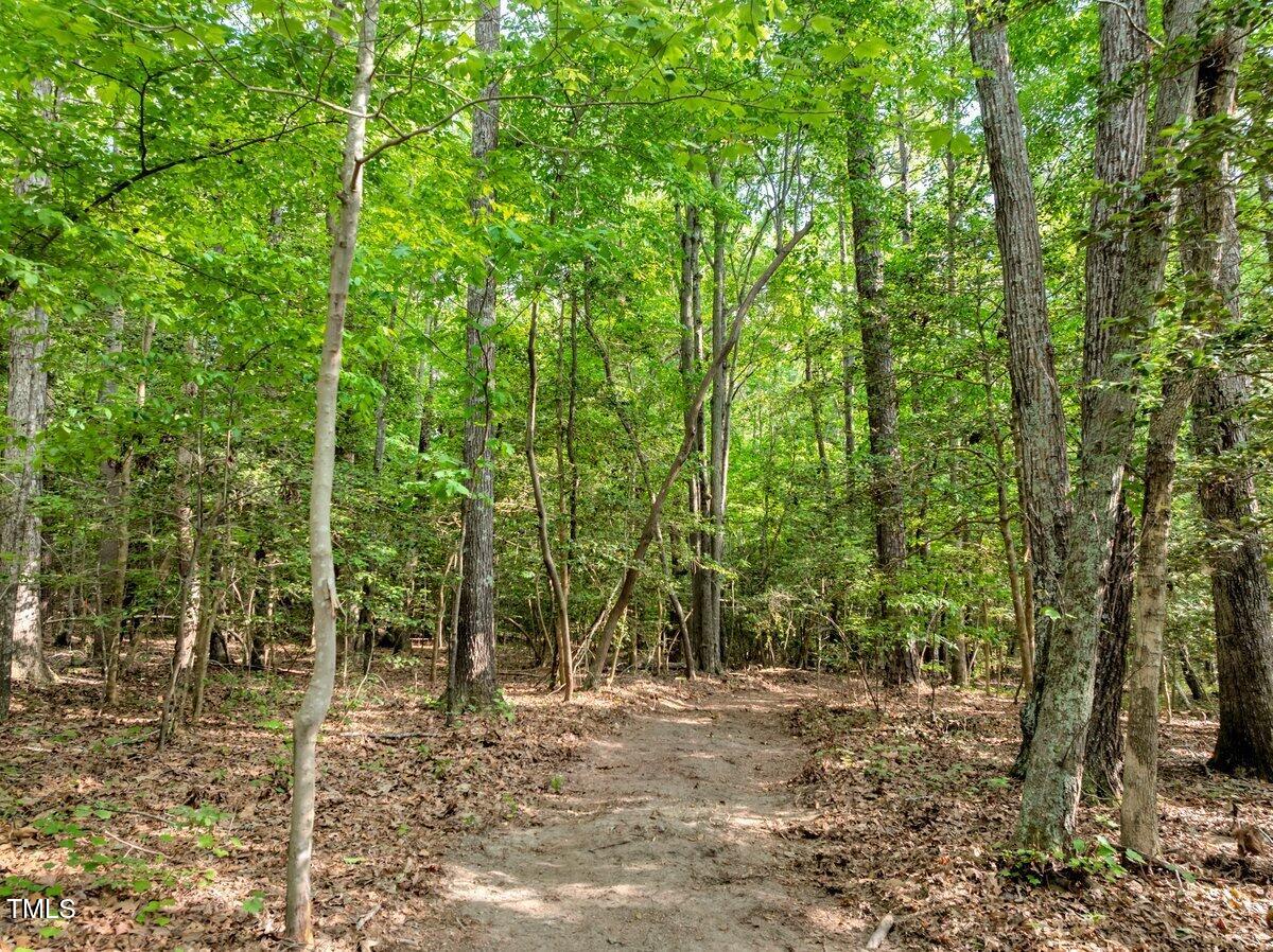 1.95-acres Buchanan Road Manson, NC 27553 - Photo 12 of 15 Buchanan Path Through Woods