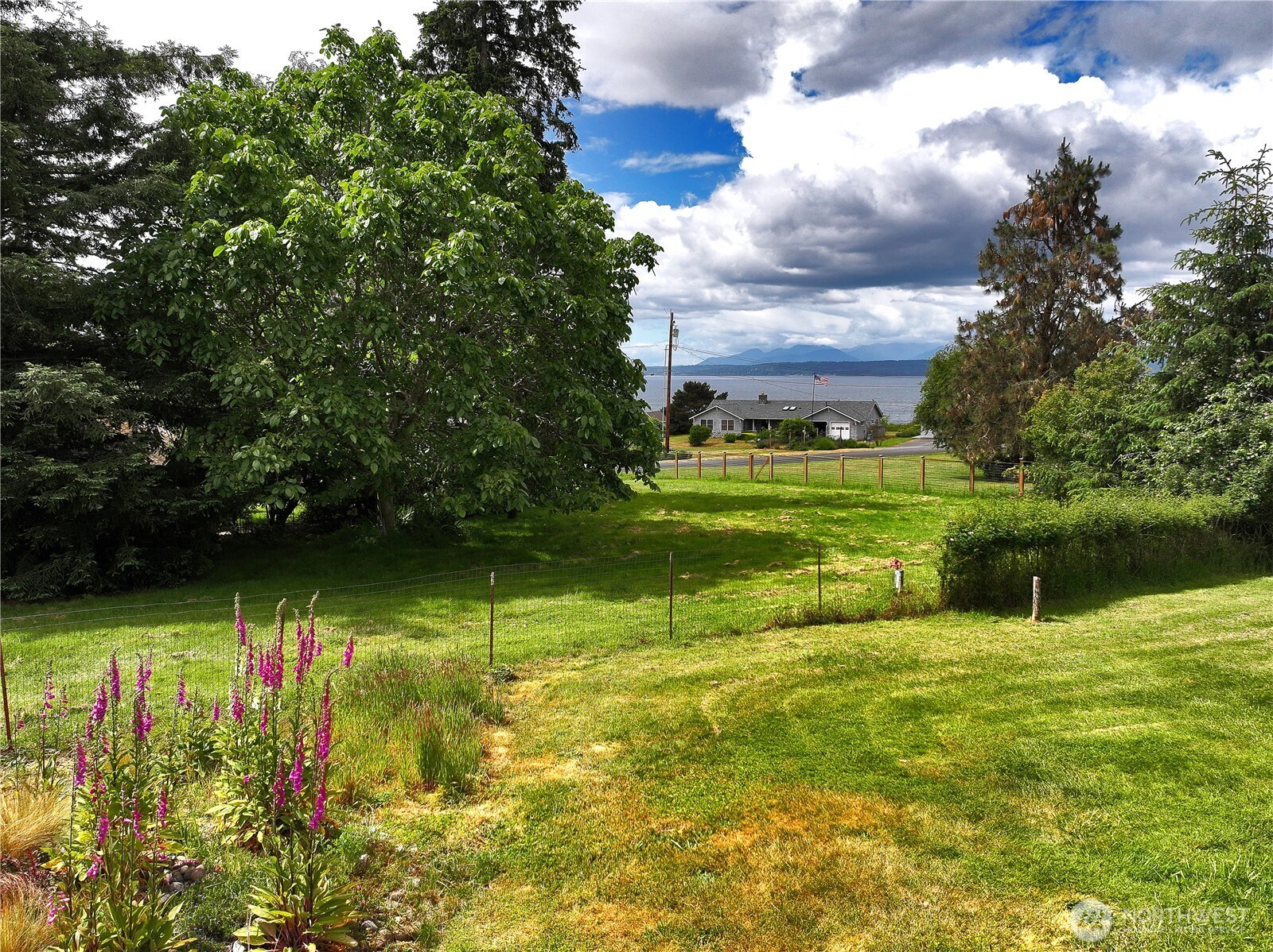 538 East Bush Point Road Freeland, WA 98249 - Photo 37 of 39