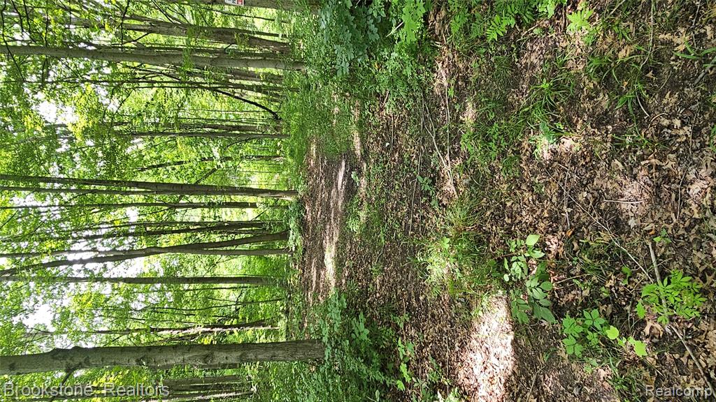 0 Bunton Road Willis, MI 48191 - Photo 8 of 15