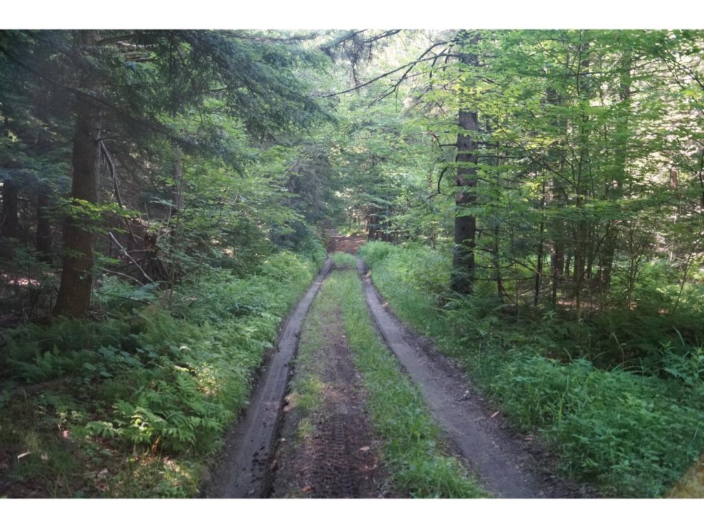 0 Larmie Hill Road Stockbridge, VT 05772 - Photo 5 of 7
