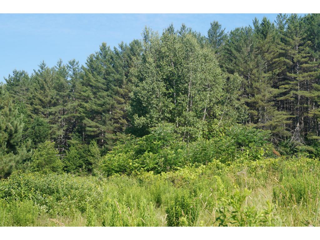 0 Larmie Hill Road Stockbridge, VT 05772 - Photo 6 of 7