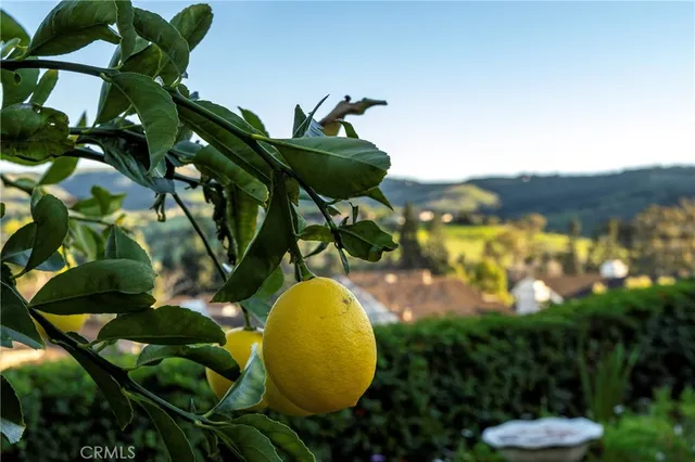 $2,199,000 | 20 Southern Wood, Irvine, CA 92603