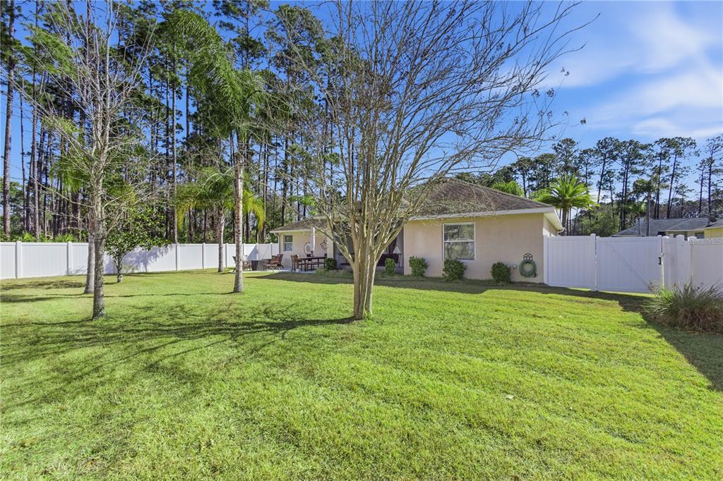 48 Evans Drive Palm Coast, FL 32164 - Photo 15 of 47 a view of a house with backyard and trees