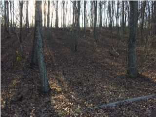 9718 Caseview Drive Harrison, TN 37341 - Photo 1 of 1 Primary Photo