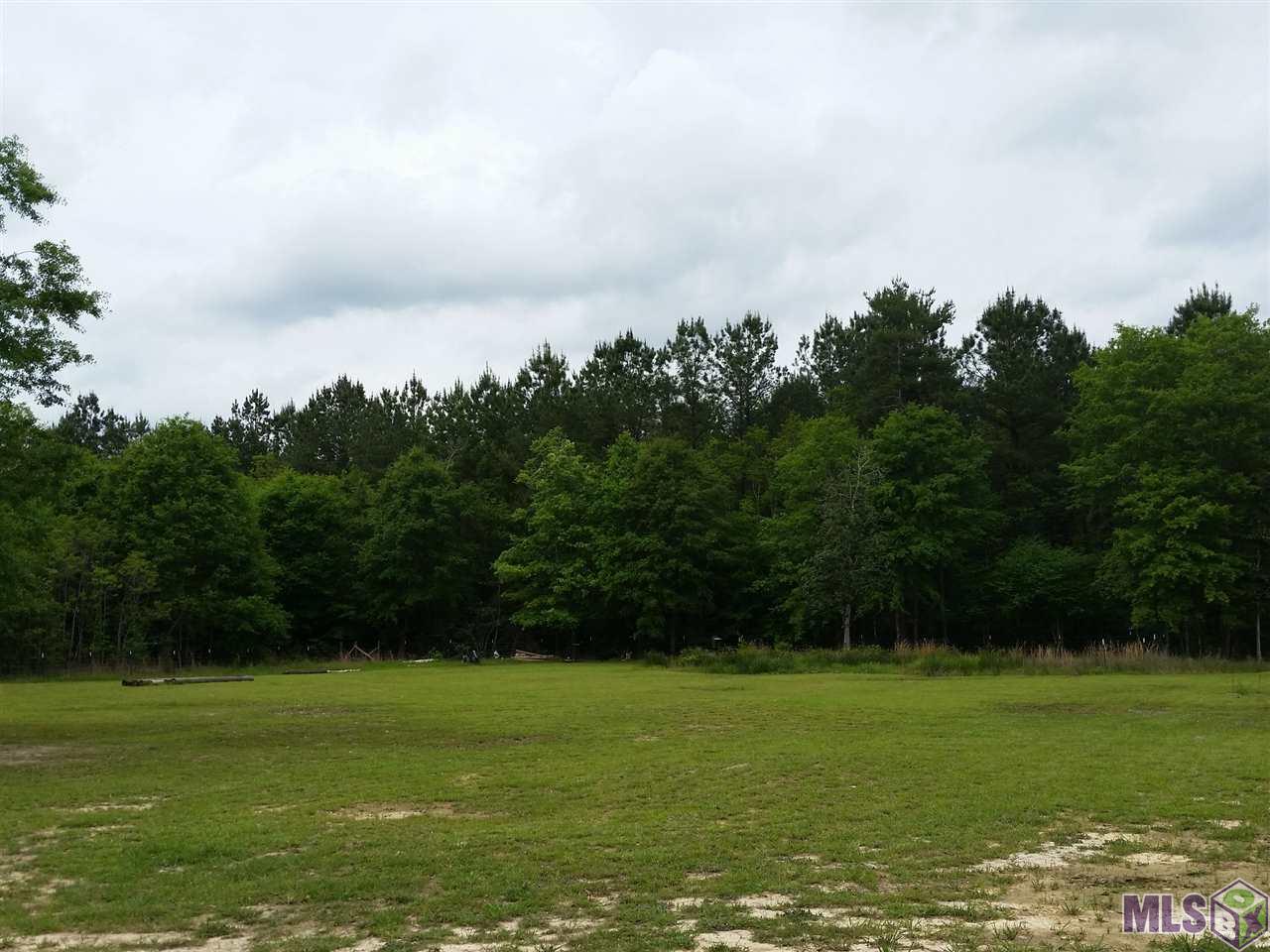 14555 Courtney Road Walker, LA 70785 - Photo 15 of 22 Gallery Image 15