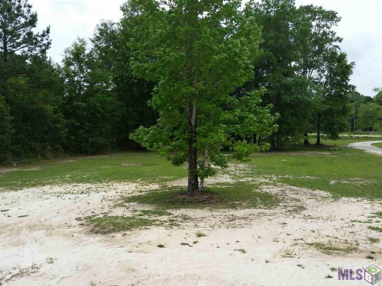 14555 Courtney Road Walker, LA 70785 - Photo 16 of 22 Gallery Image 16