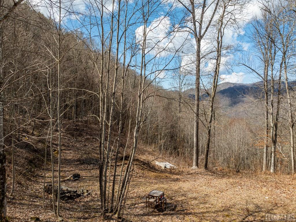 Lot 67 Pilot Knob Road Tuckasegee, NC 28783 - Photo 20 of 32 Gallery Image 20