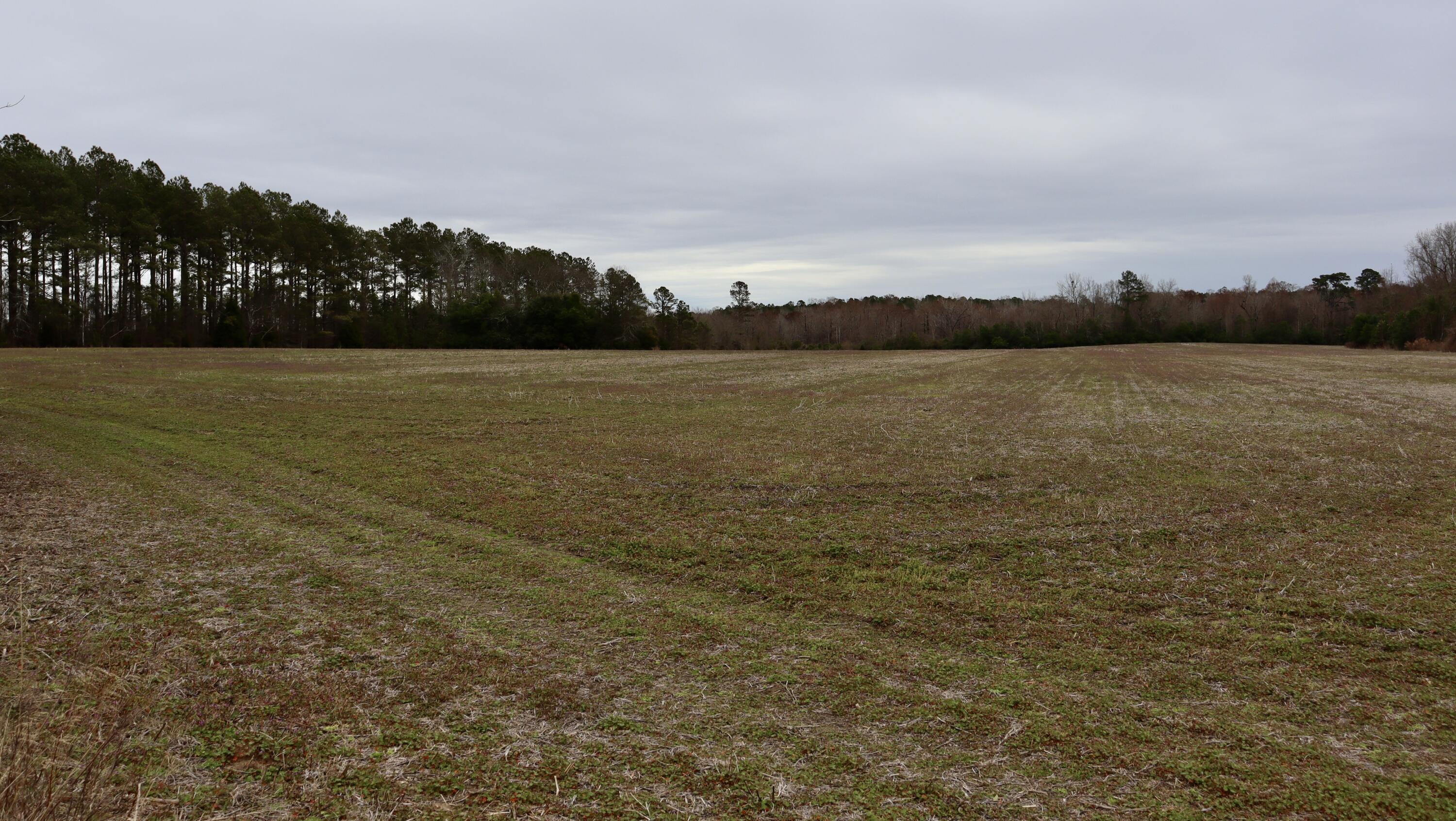 0 Cool Springs Road Pinewood, SC 29125 - Photo 4 of 4