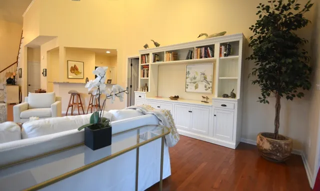 a living room with furniture and a potted plant