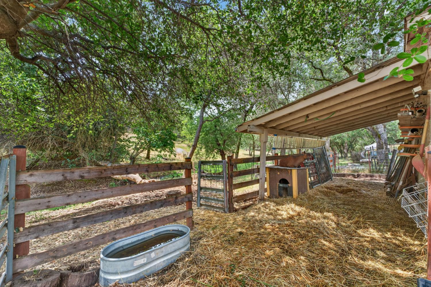 4920 Upson Downs Road Newcastle, CA 95658 - Photo 75 of 98 Goats space