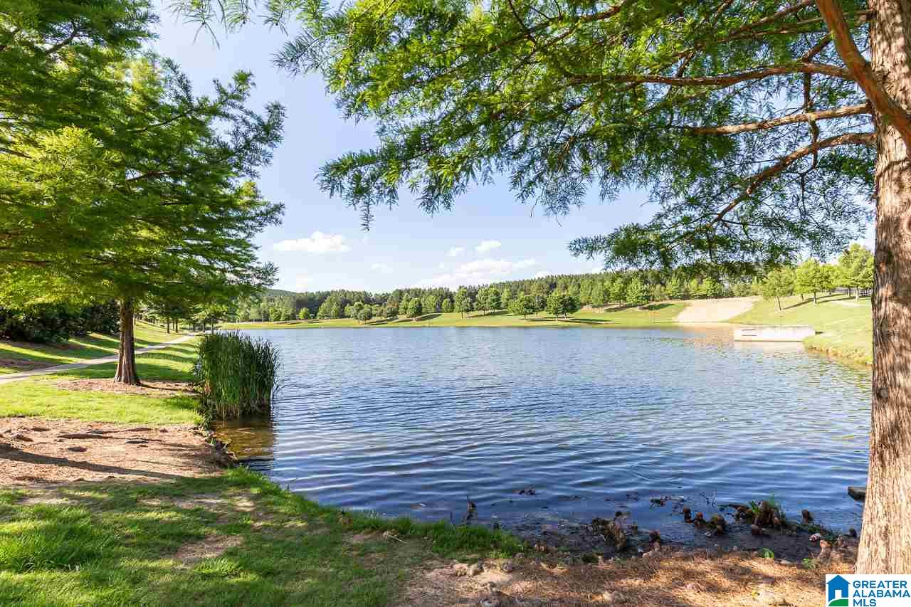 3044 Springfield Circle Chelsea, AL 35043 - Photo 34 of 37