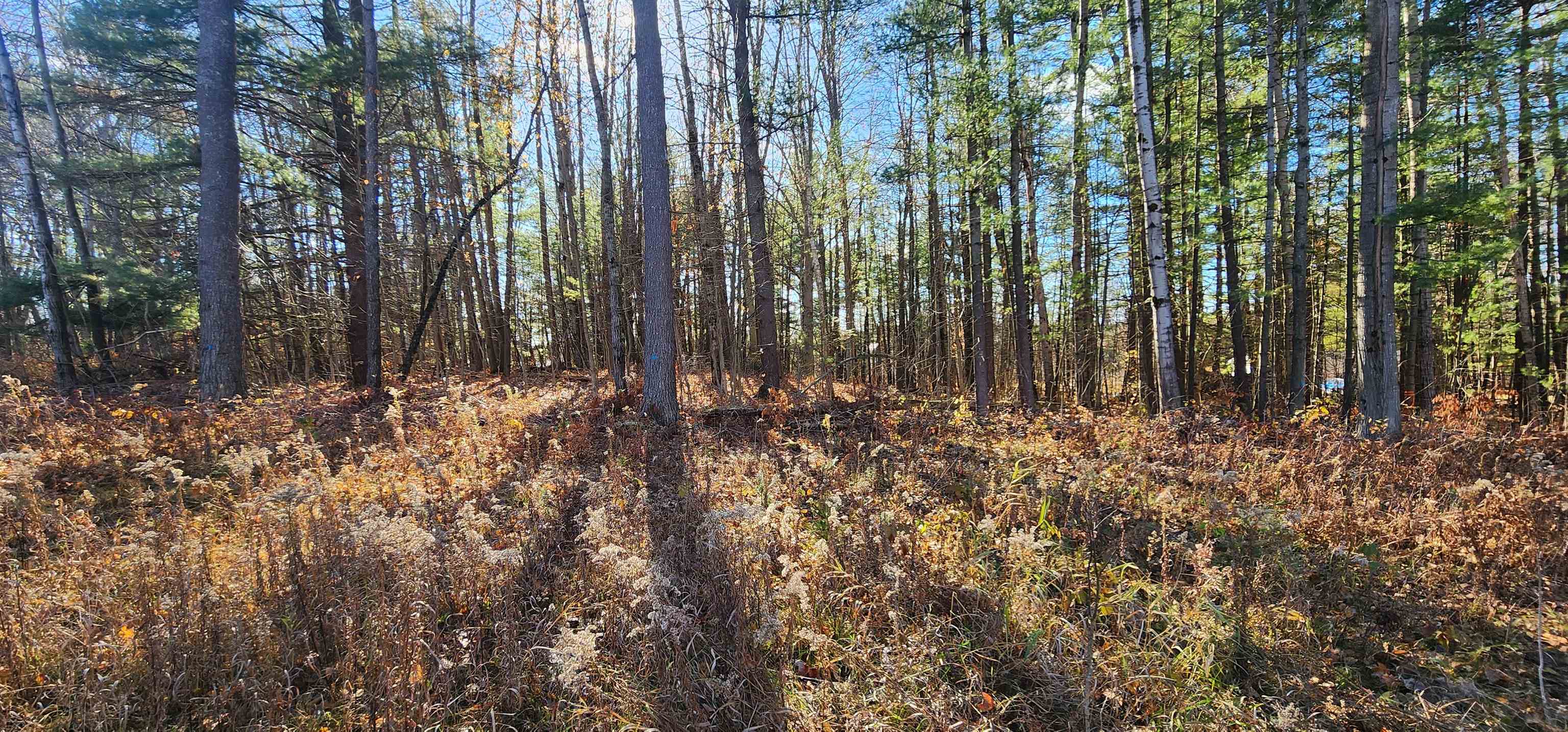 0 West Rainbow Road McBain, MI 49657 - Photo 3 of 13