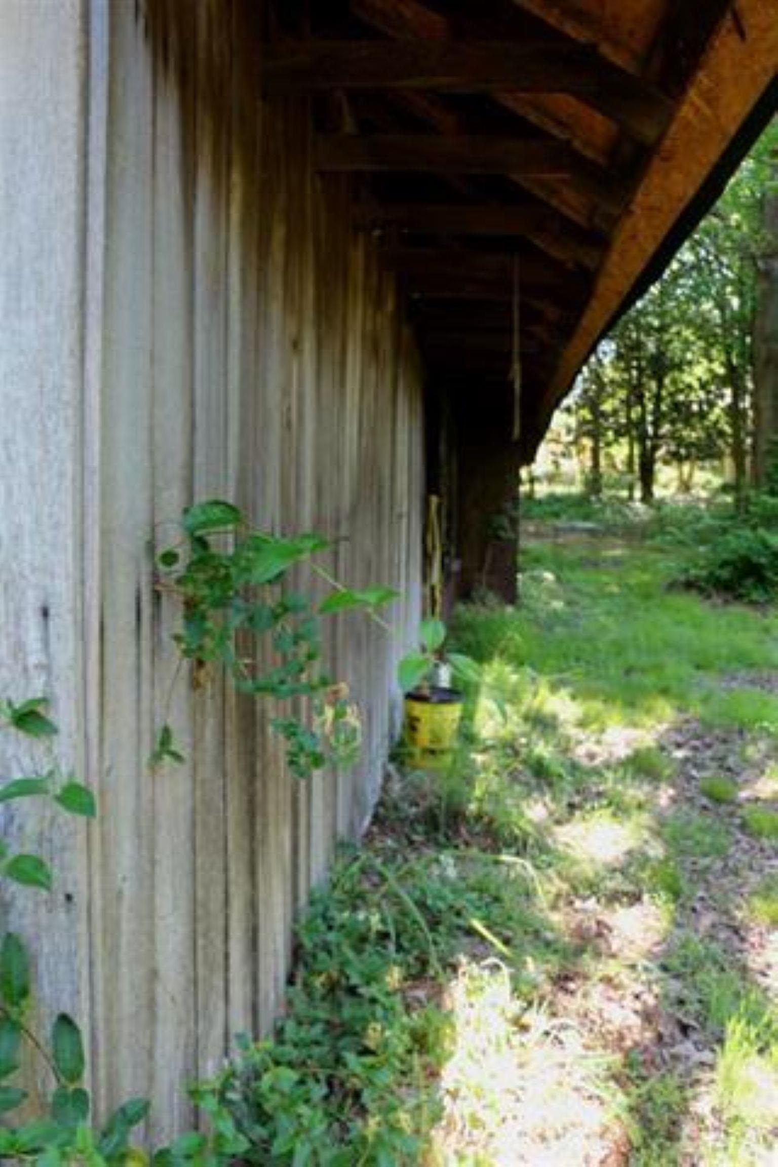 3515 Hacks Cross Road Memphis, TN 38119 - Photo 12 of 12 a view of a backyard with plants