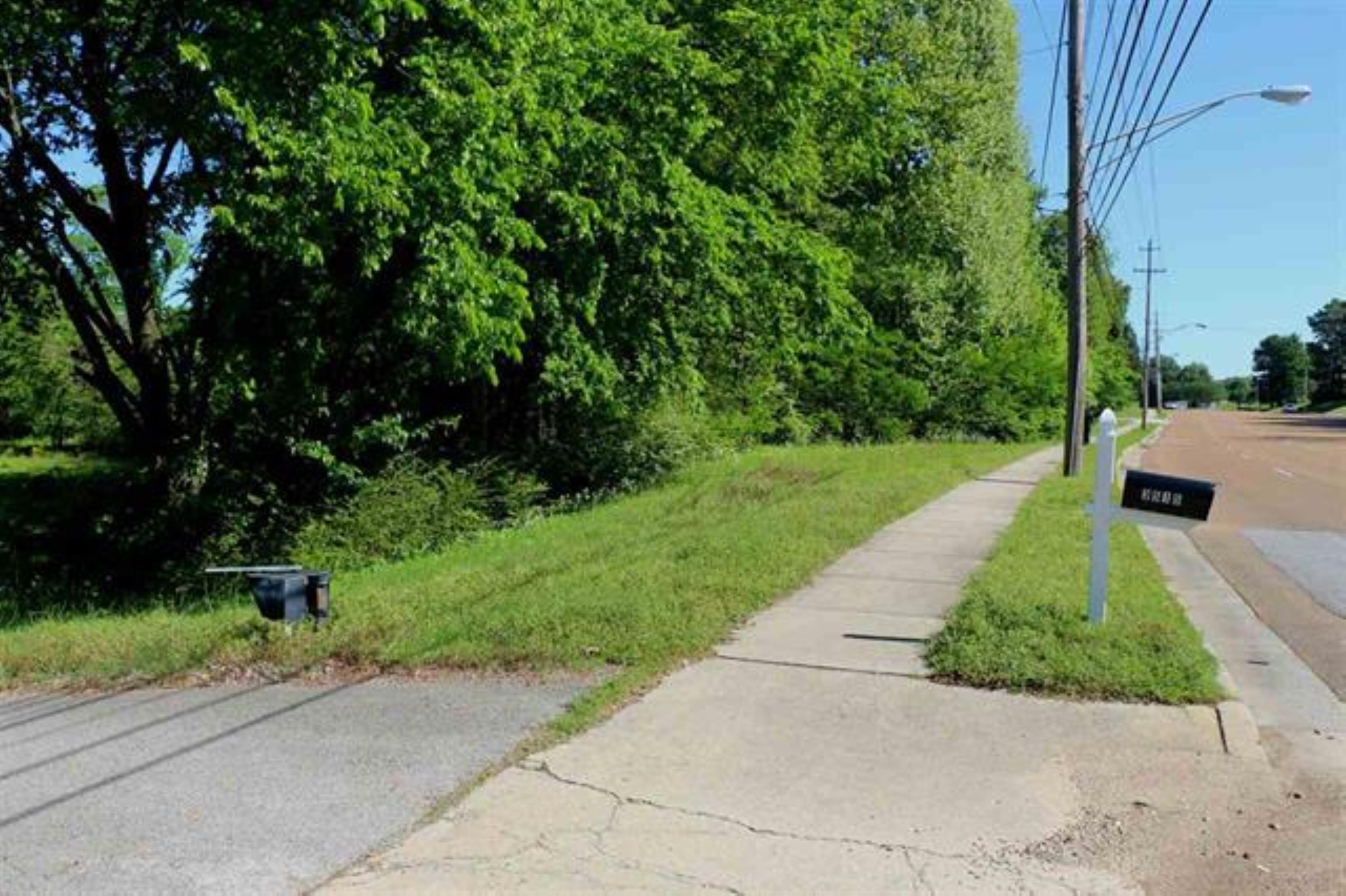 3515 Hacks Cross Road Memphis, TN 38119 - Photo 3 of 12 a view of backyard with green space
