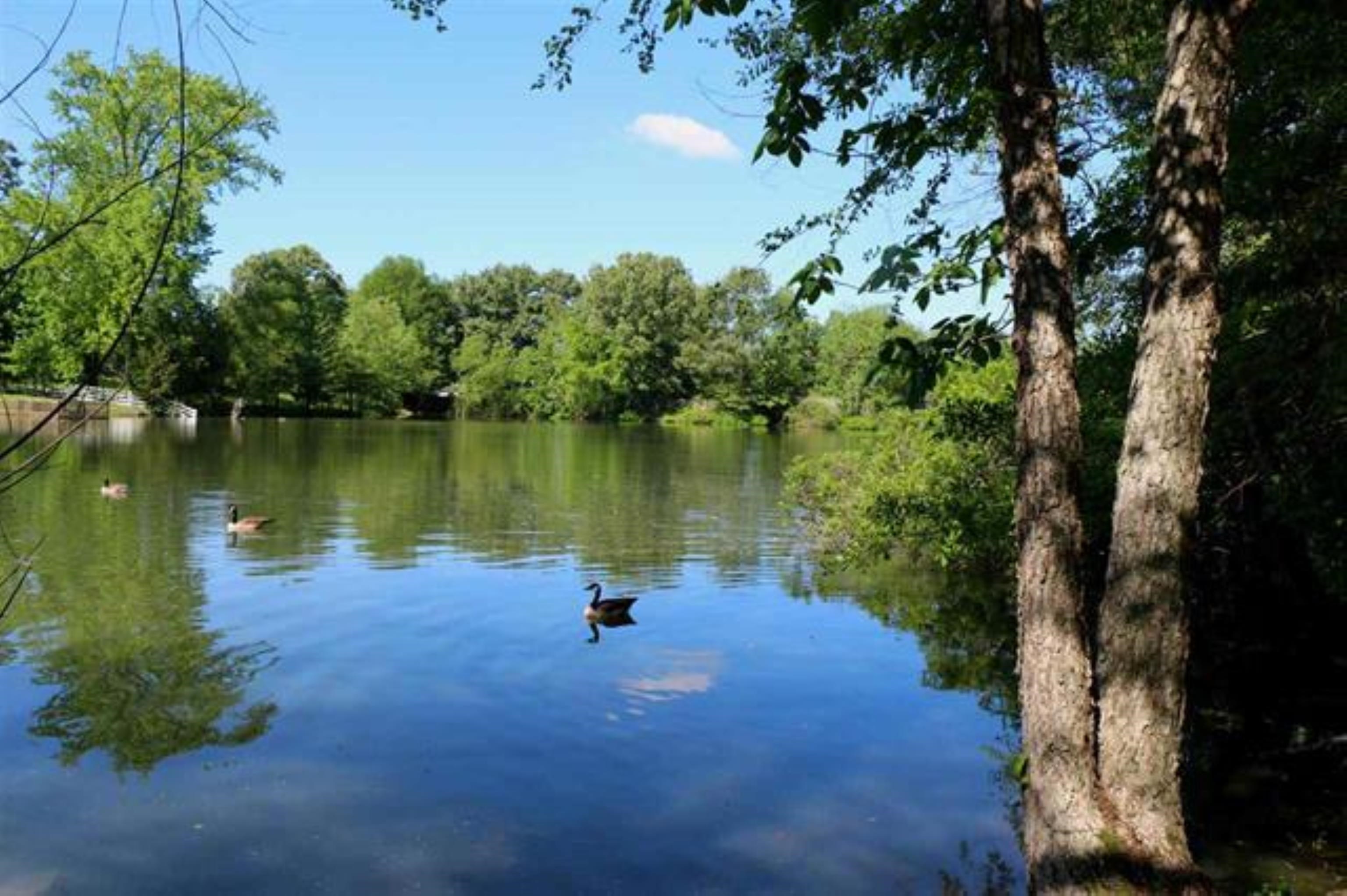 3515 Hacks Cross Road Memphis, TN 38119 - Photo 7 of 12 a view of a lake