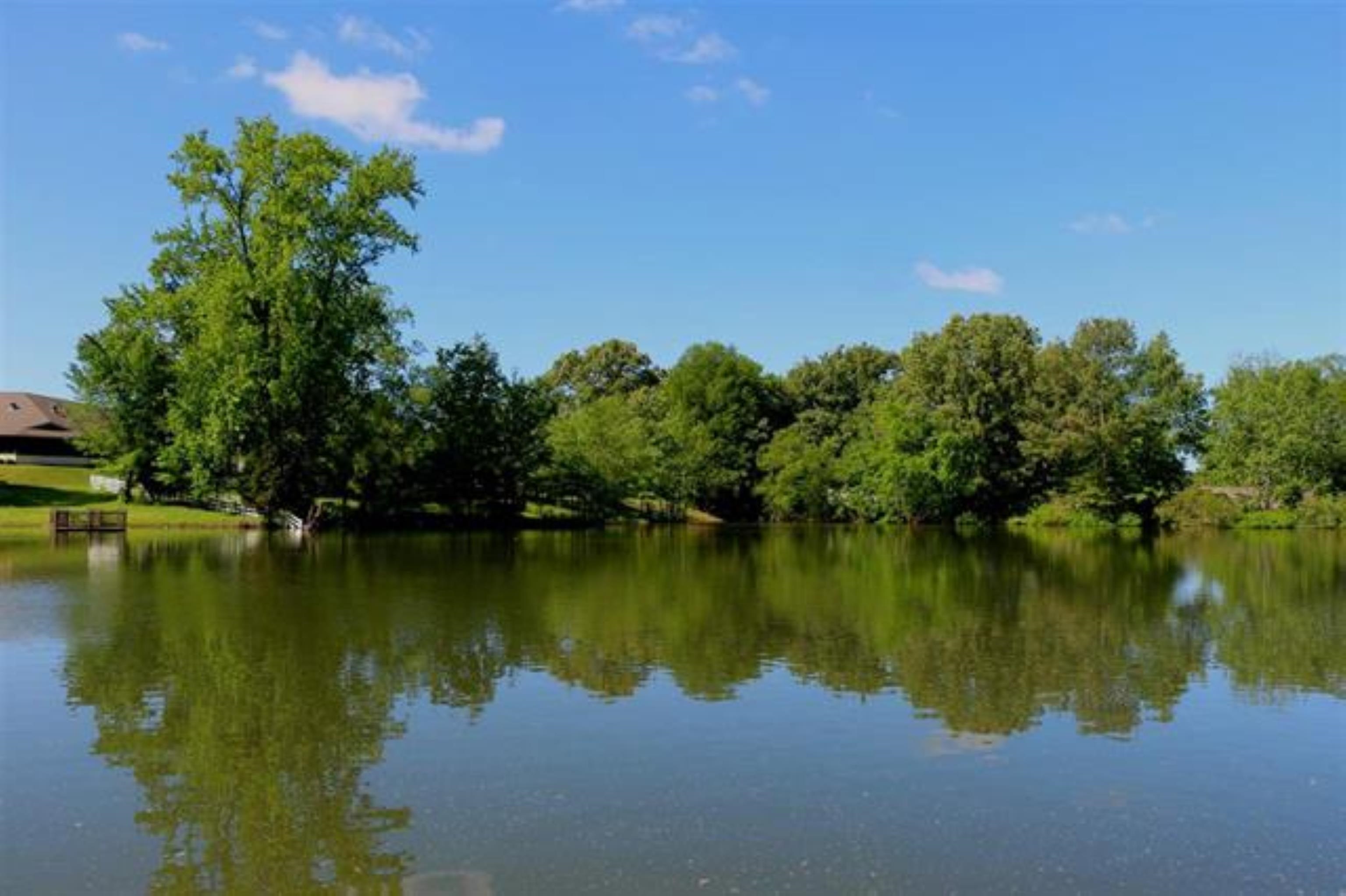 3515 Hacks Cross Road Memphis, TN 38119 - Photo 8 of 12 a view of a lake with a house in the background
