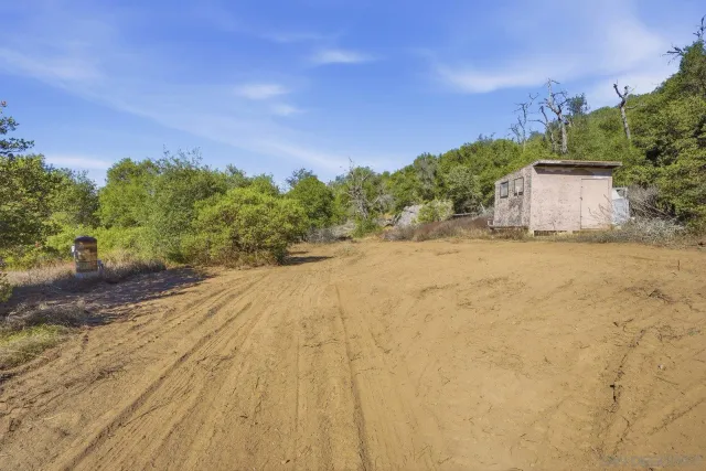 a view of yard with large trees