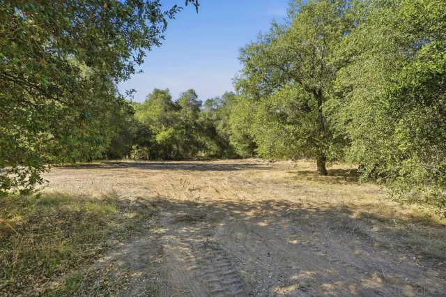 a view of a yard with trees