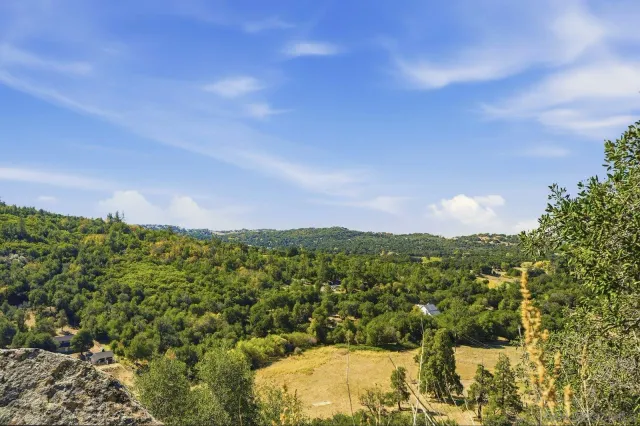 a front view of a house with a yard and trees