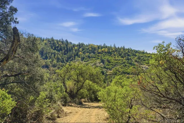 a picture of street view