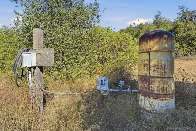 a view of a yard covered with trees