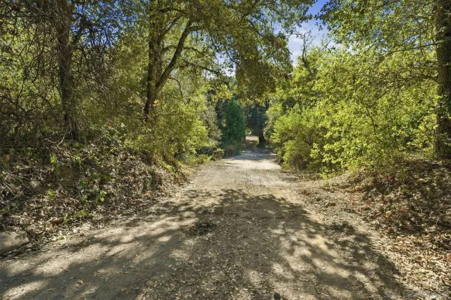 a view of a yard with trees