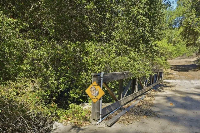a view of forest with trees