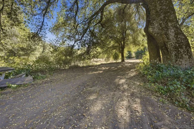 a view of dirt yard with a tree