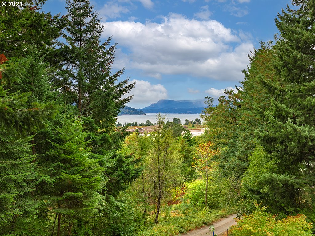 131 Wedrick Road Stevenson, WA 98648 - Photo 30 of 31 Gallery Image 30