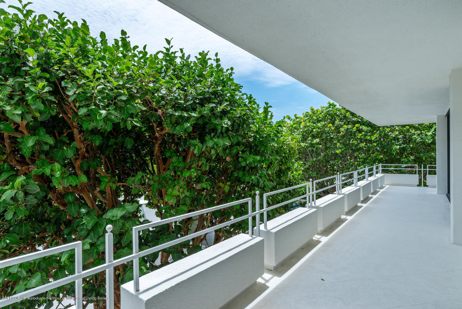2150 Ibis Isle Road, Unit 8 Palm Beach, FL 33480 - Photo 29 of 31 a view of a balcony with a plant in front of it