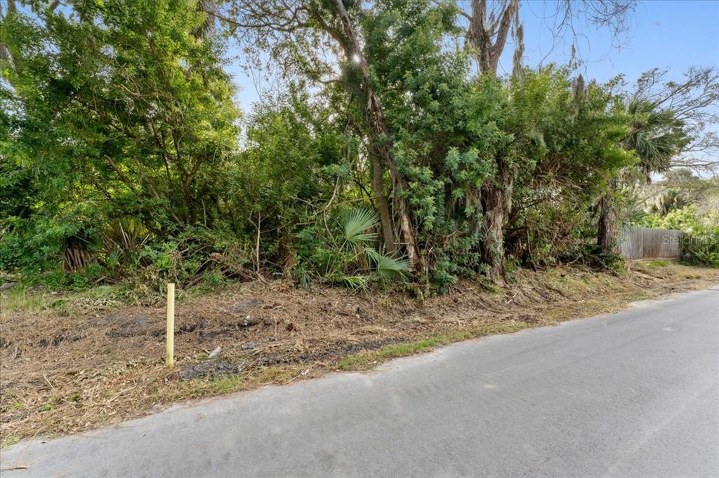 Pier Road New Port Richey, FL 34652 - Photo 4 of 17