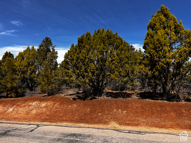 10650 South Zion Ridge Drive Orderville, UT 84758 - Photo 3 of 4 View of landscape