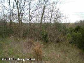 533 Holt Ridge Road Bloomfield, KY 40008 - Photo 3 of 4 52