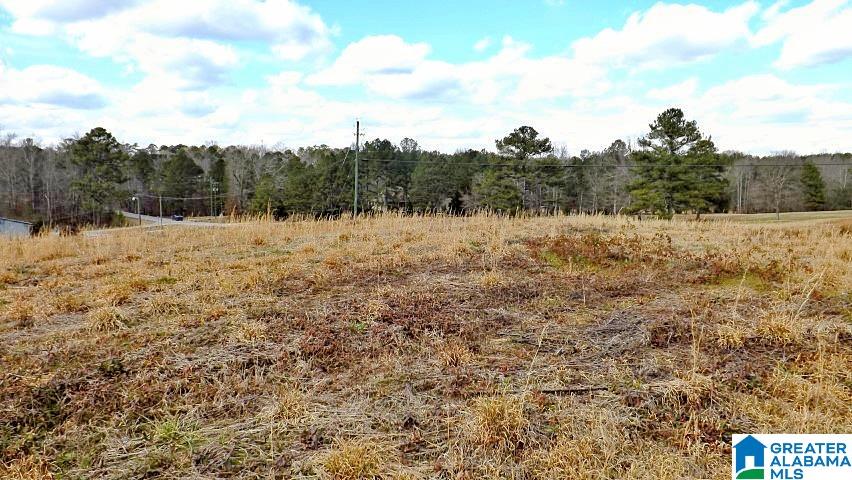 0 Highway 231, Unit 1 5 Oneonta, AL 35121 - Photo 13 of 23