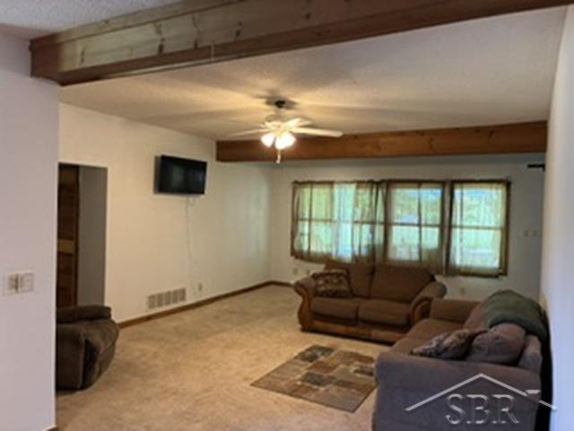 15608 Klooster Road Charlevoix, MI 49720 - Photo 19 of 40