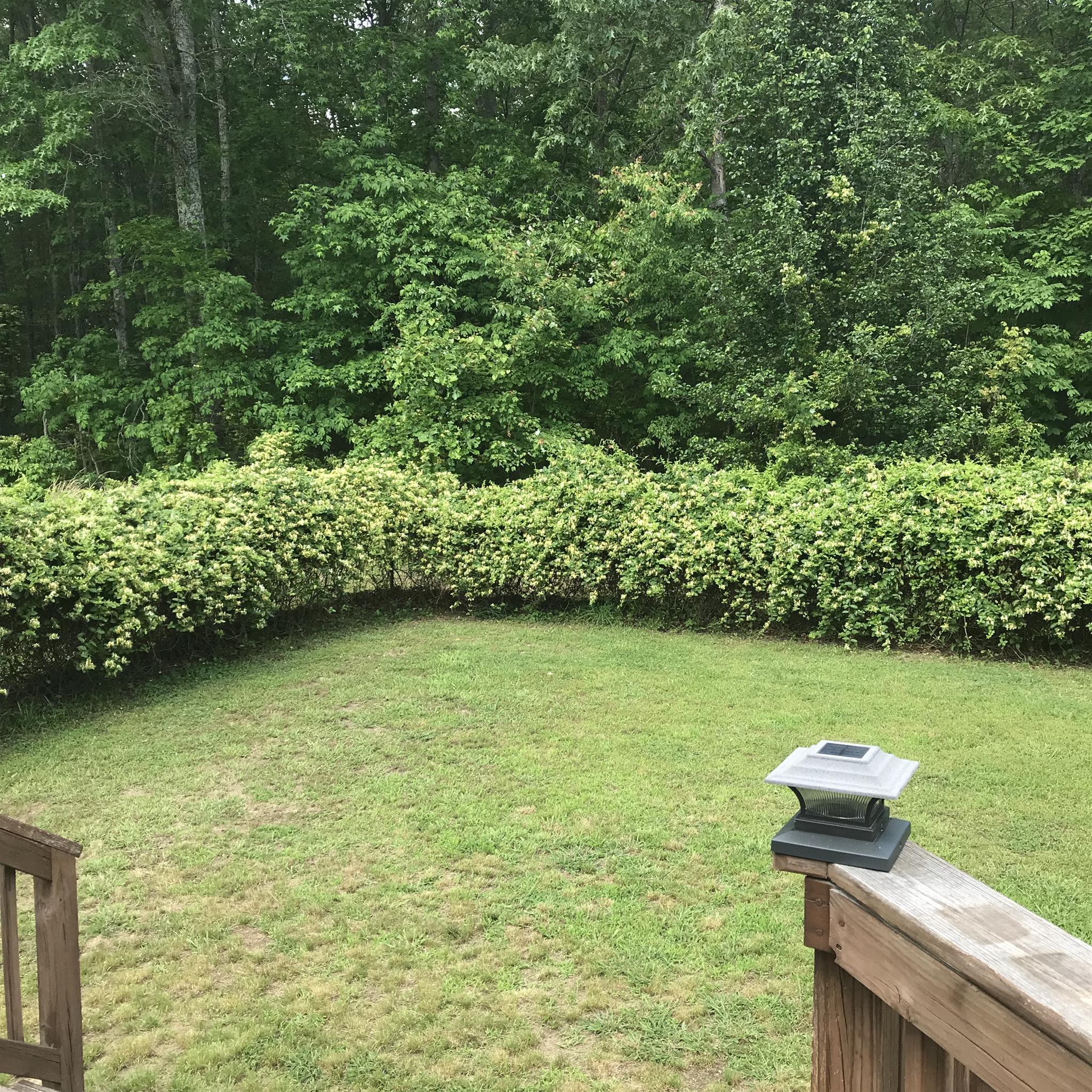 1276 Espy Road Manchester, TN 37355 - Photo 22 of 25 a view of a garden with a bench
