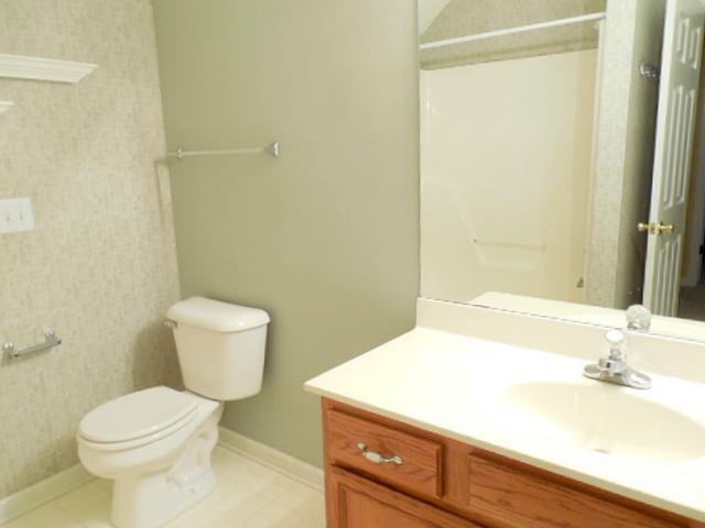 314 Thetahill Road Murfreesboro, TN 37130 - Photo 13 of 19 3rd Full Bath Upstairs