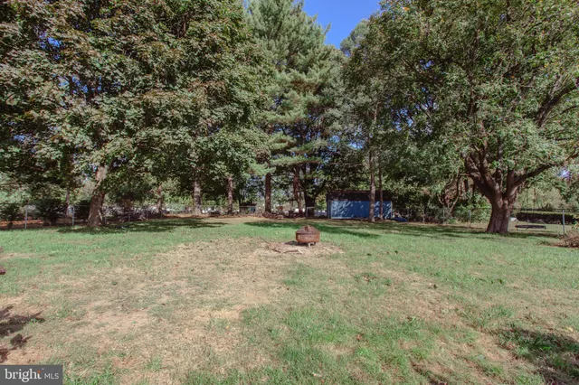 a view of a park with large trees