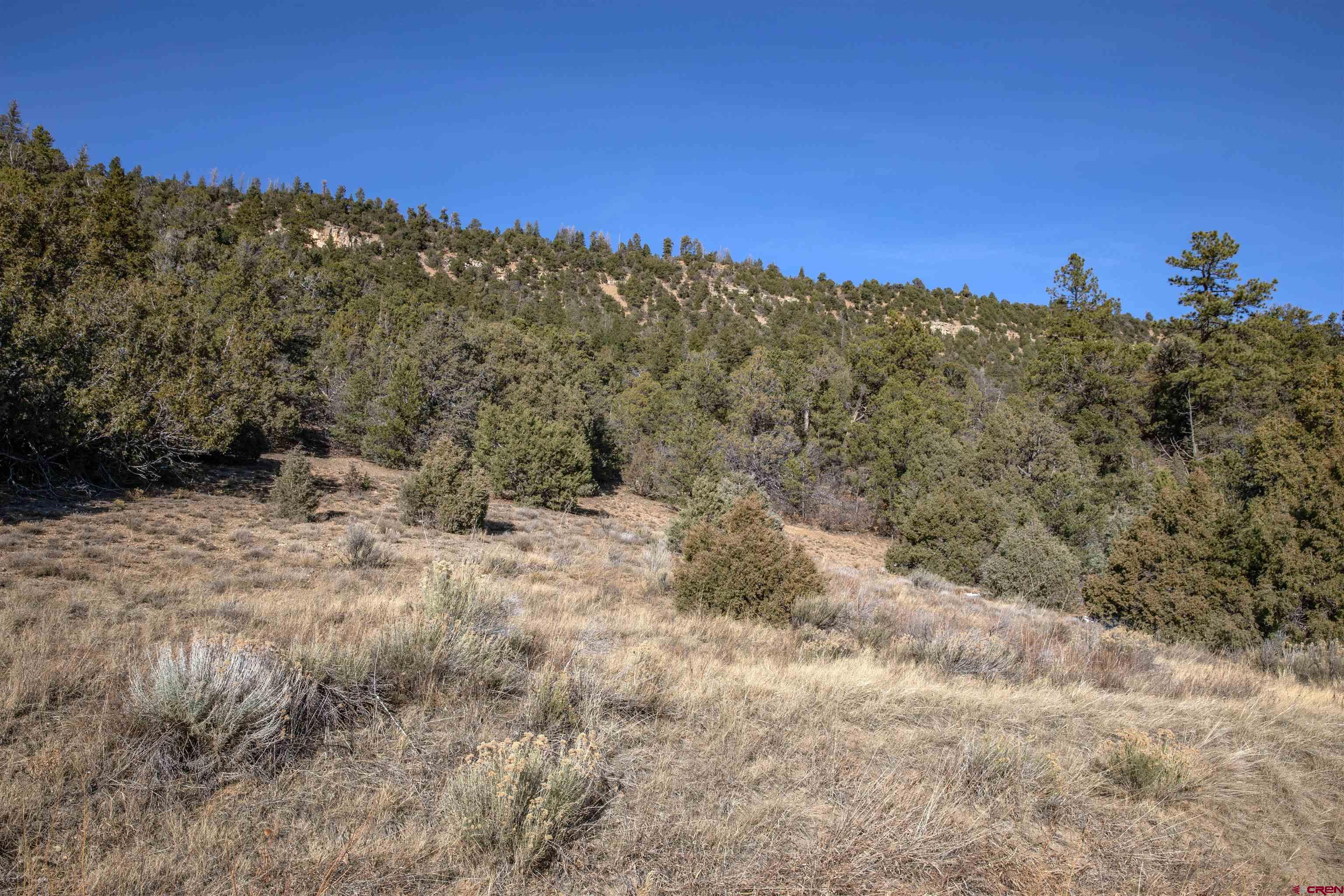 7 Old Relay Road Ridgway, CO 81432 - Photo 18 of 23 a view of a large building with a mountain in the background
