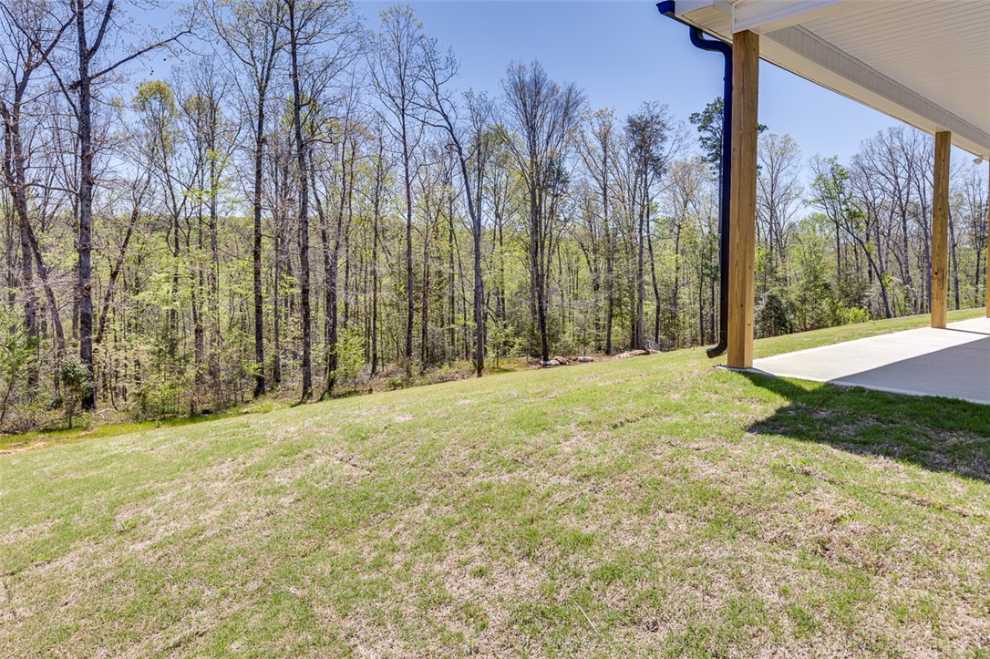 209 Old Glory Court Liberty, SC 29657 - Photo 33 of 36