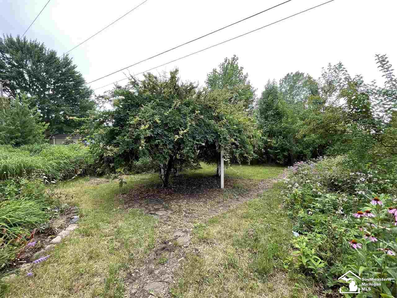 5400 Douglas Road Ida, MI 48140 - Photo 5 of 25
