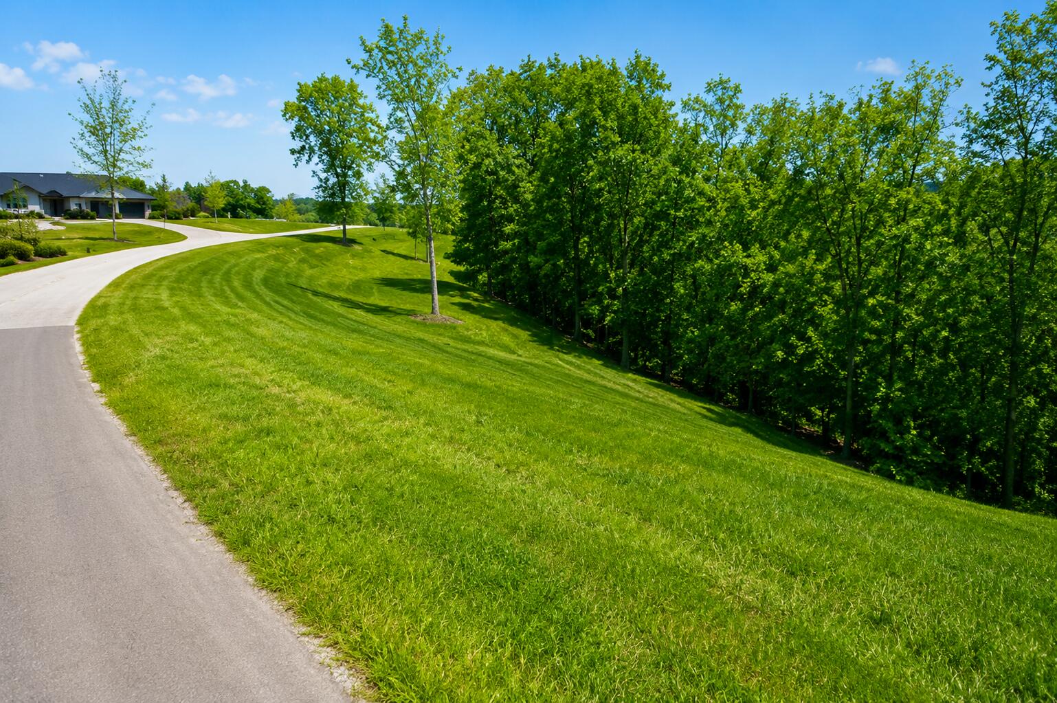 174 Purist Lane Reeds Spring, MO 65737 - Photo 6 of 13 174 Purist Lane Branson West,MO